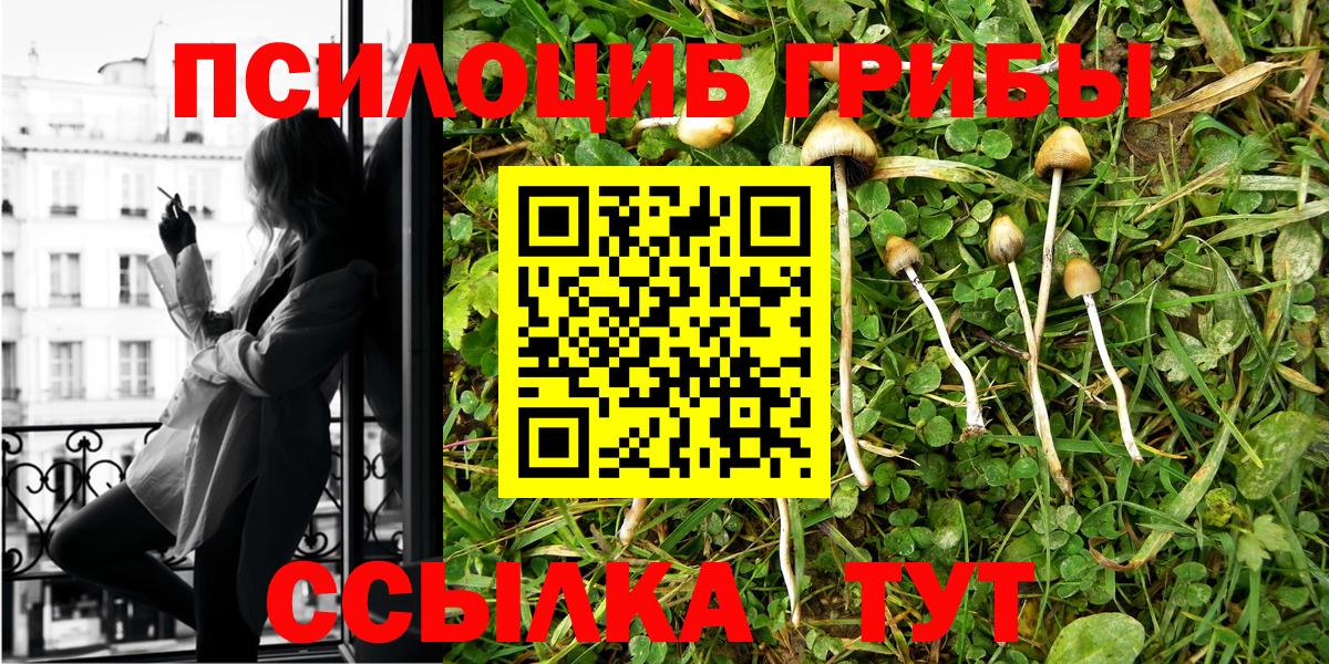 Псилоцибиновые грибы мицелий Нурлат
